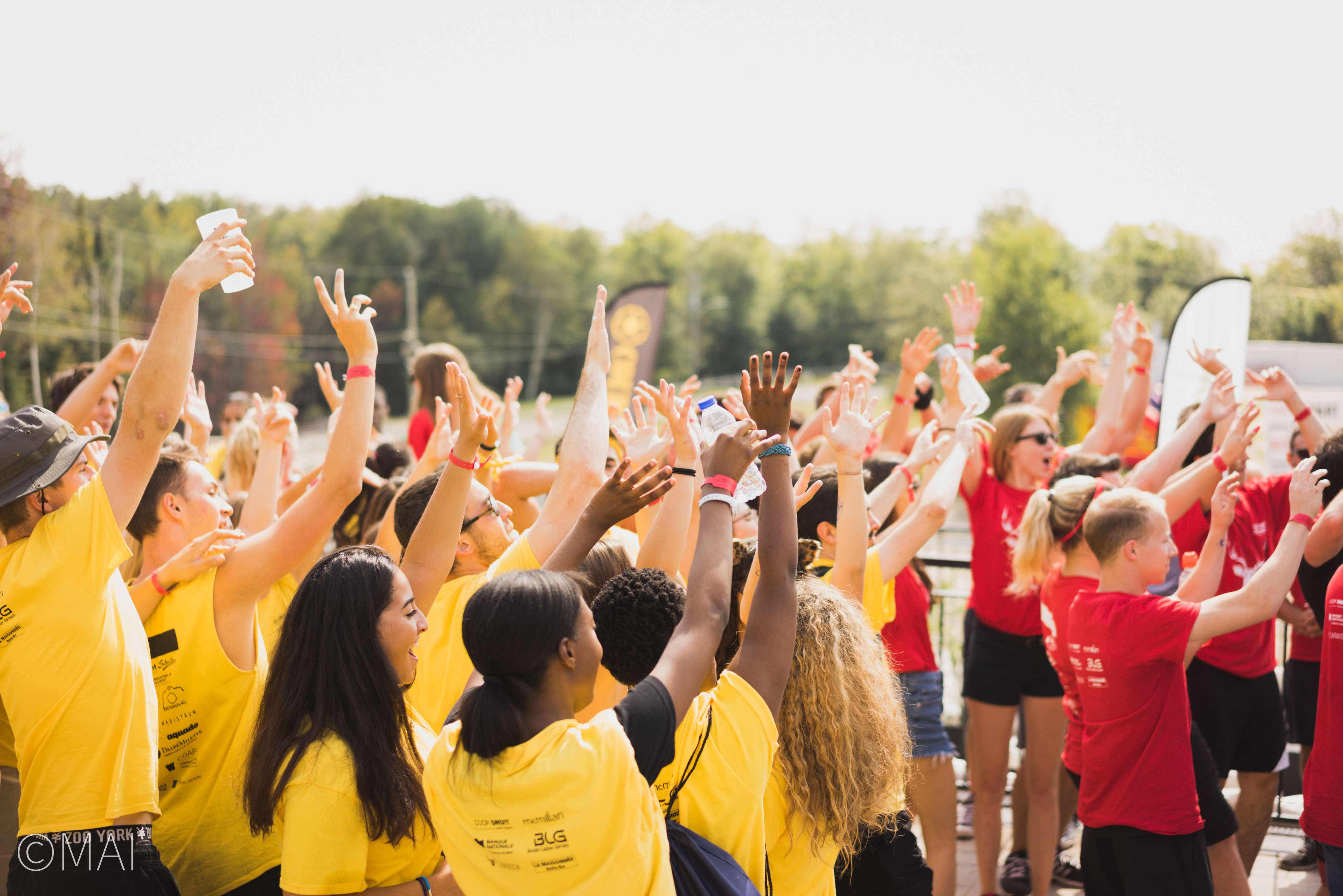 Groupes scolaires / Camps de jour